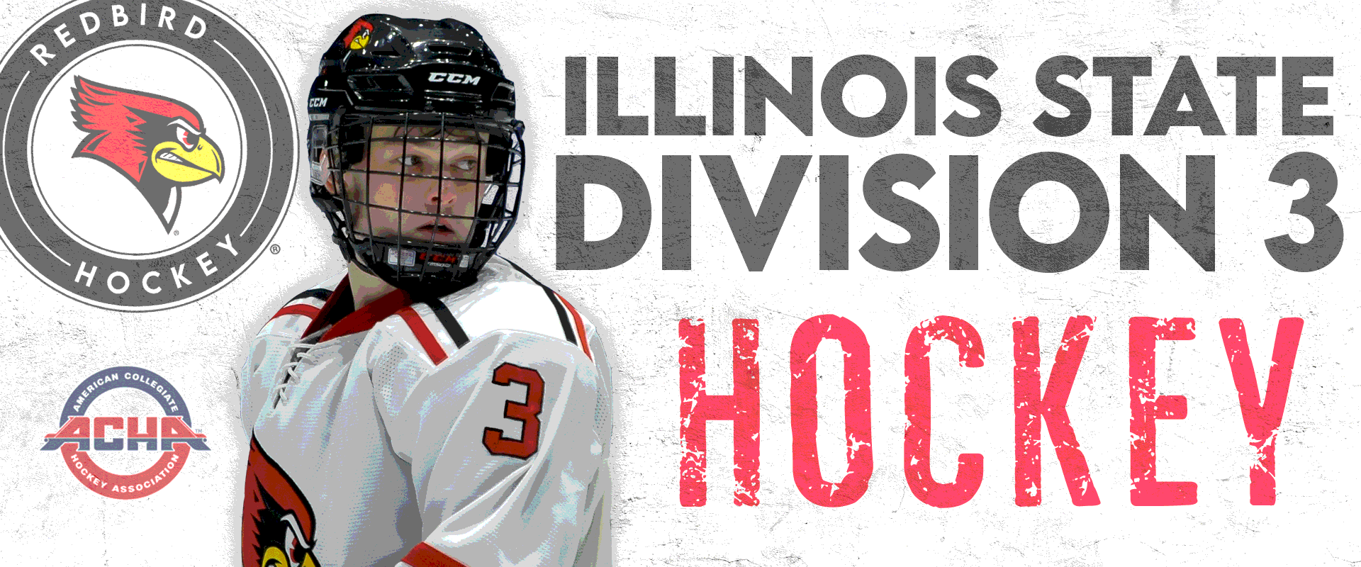 Hockey in Illinois